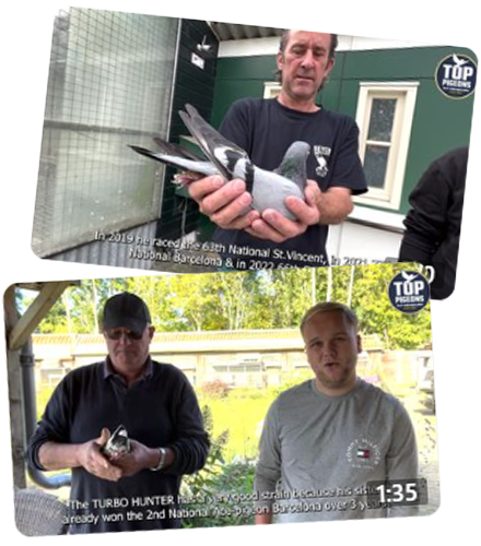 inzet-videos