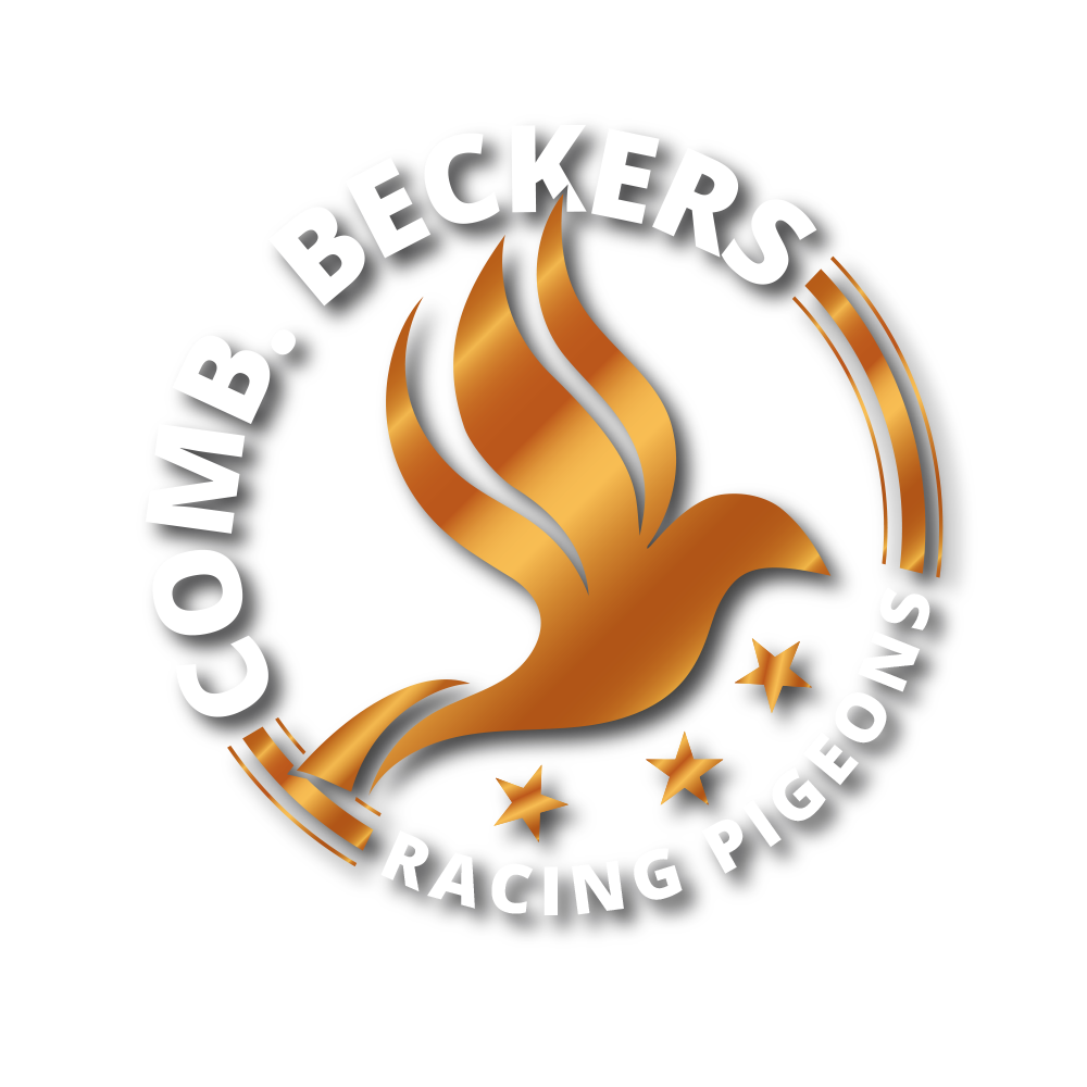 Logo_CombBeckers-nieuw-def-zonderachtergrond-1000×1000